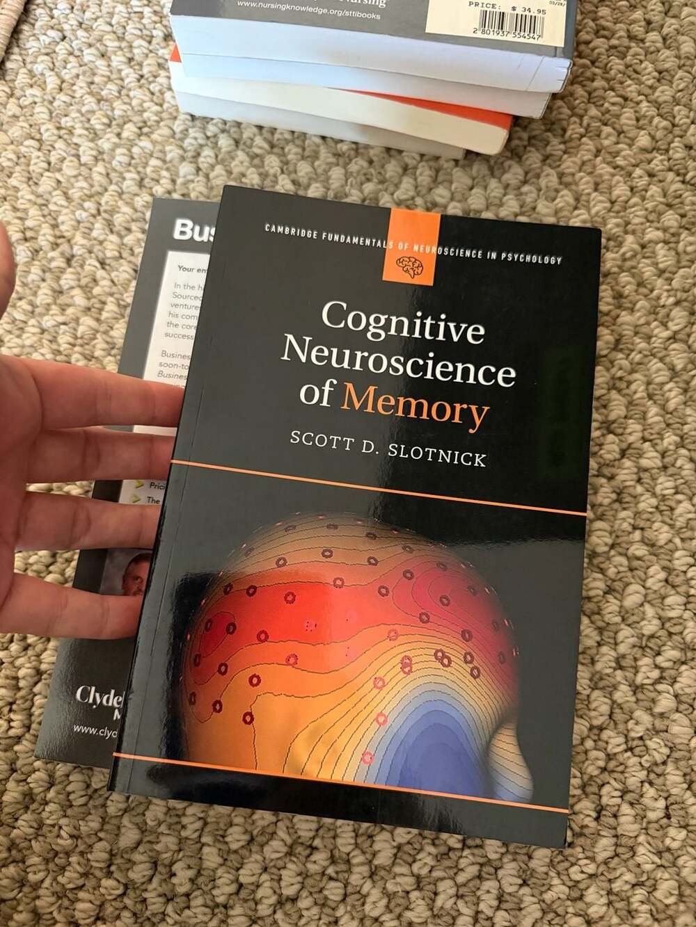 Cognitive Neuroscience of Memory - Slotnick, Scott D.